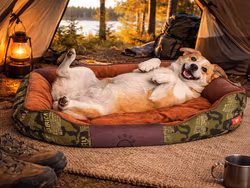 Hundbäddssoffa för hundar mjuk fluffig bekväm medelstor hund - grön