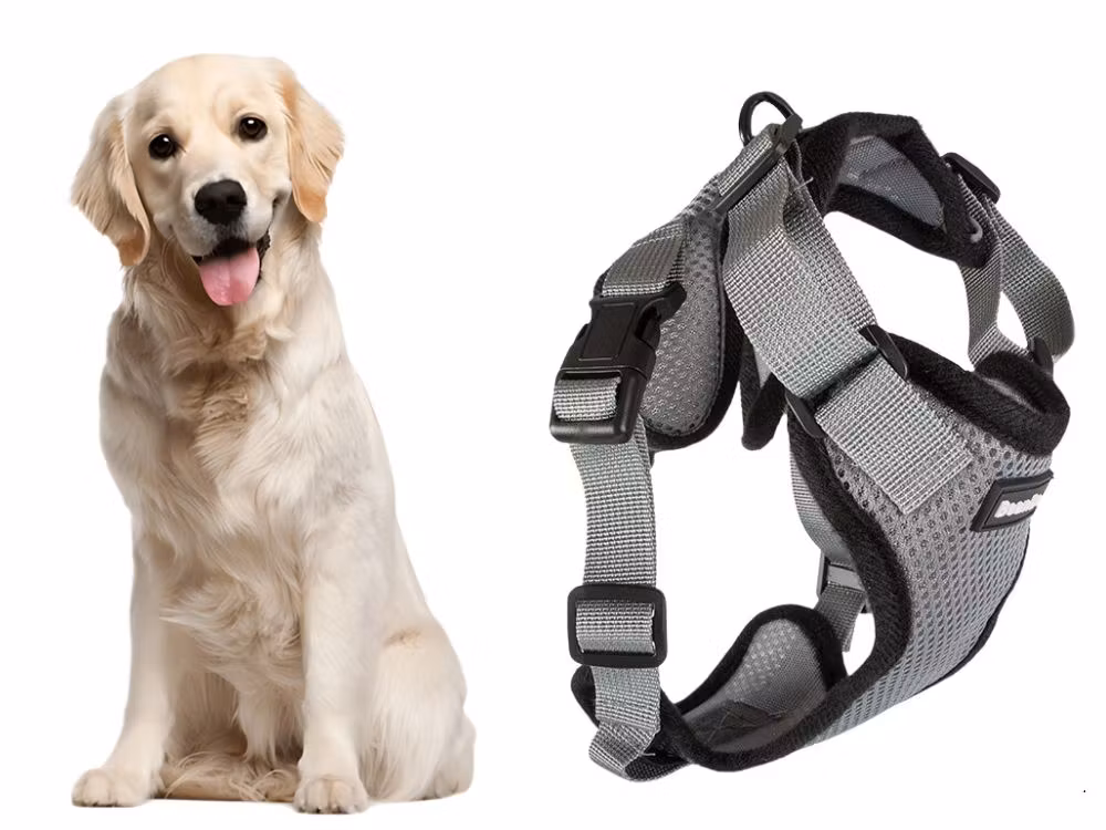 Hundsele XL Tryckfri – Justerbar Sele med Koppel Grå