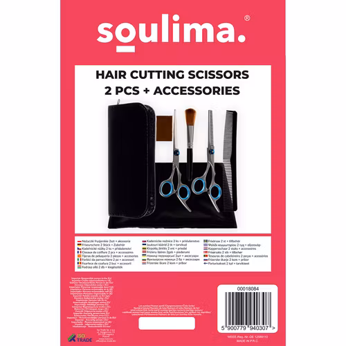 Frisörsax Set  2 Saxar + Tillbehör – Komplett Kit med Fodral