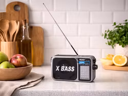 Bärbar radio FM/AM/SW med ficklampa – RDD RD-306 X-BASS -Grå