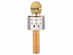 Trådlös Karaokemikrofon Bluetooth | Högtalare & Röstlägen