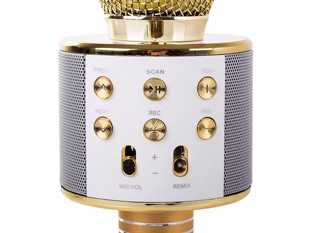 Trådlös Karaokemikrofon Bluetooth | Högtalare & Röstlägen