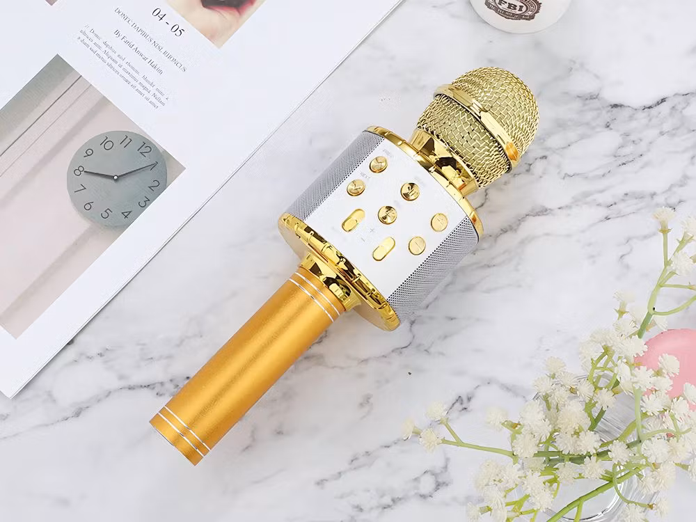 Trådlös Karaokemikrofon Bluetooth | Högtalare & Röstlägen