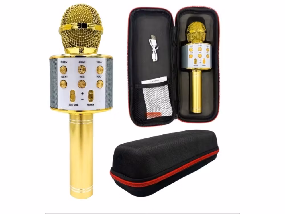 Trådlös Karaokemikrofon Bluetooth | Högtalare & Röstlägen