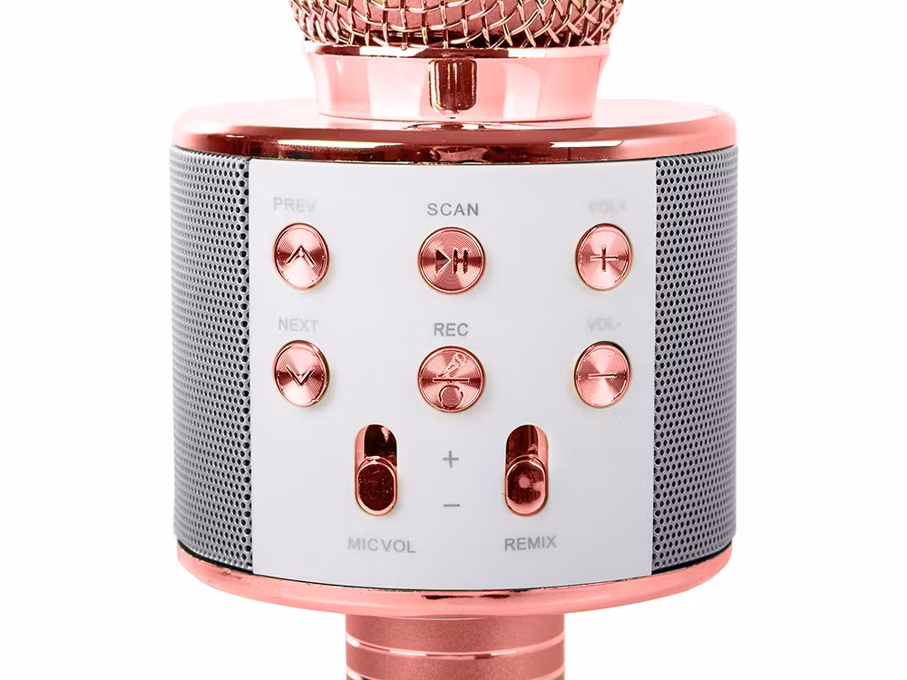 Trådlös Bluetooth Mikrofon Karaoke | Röstmodulering & FM-radio