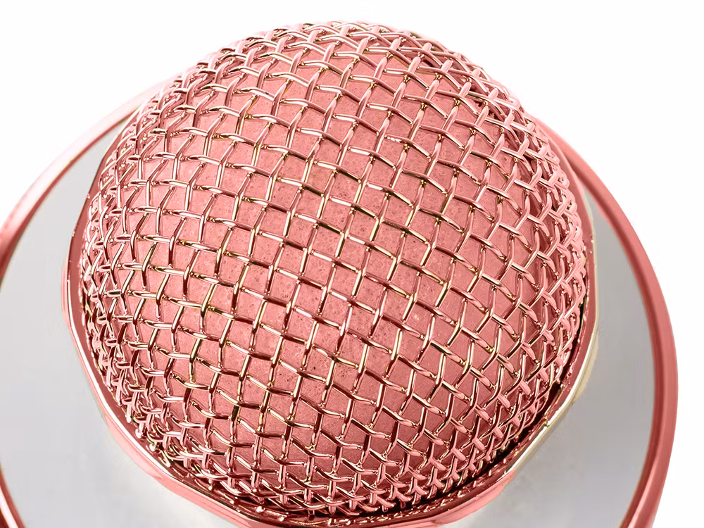 Trådlös Bluetooth Mikrofon Karaoke | Röstmodulering & FM-radio