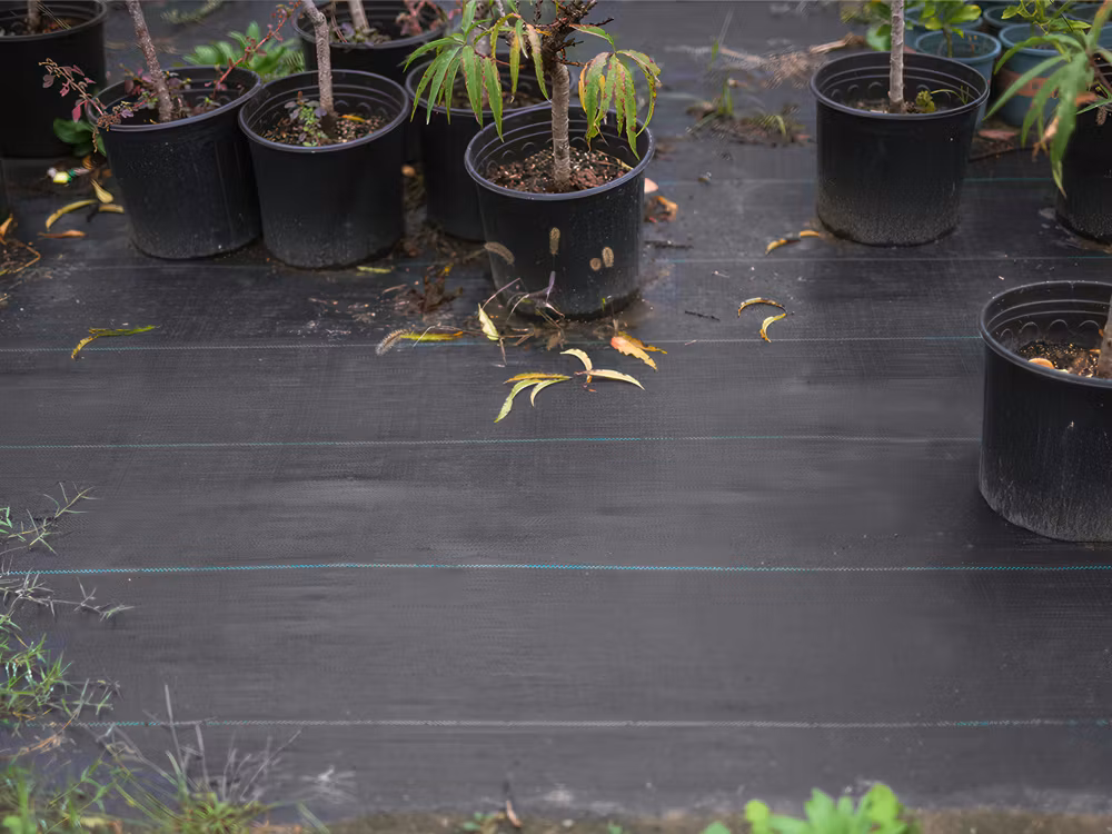 Marktäckväv 70g 1x30m – Ogräsduk svart | Agrotextil