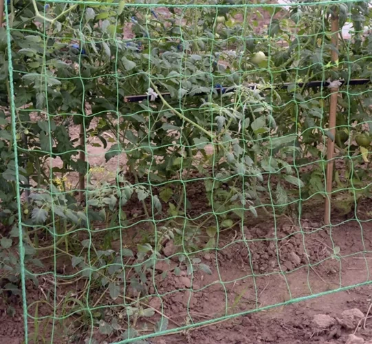 Växtnät 2x20m – stort klätterstöd för odling