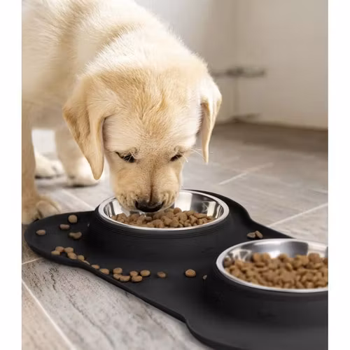 Dubbel Matskål för Hund & Katt 2x450 ml – Rostfritt Stål med Silikonmatta