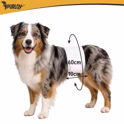 Hundebleer ML 12-pak – Purlov absorberende 46-60 cm