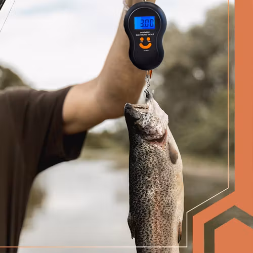 Digital bagagevåg 50 kg – Ruhhy krokvåg med LCD och tare