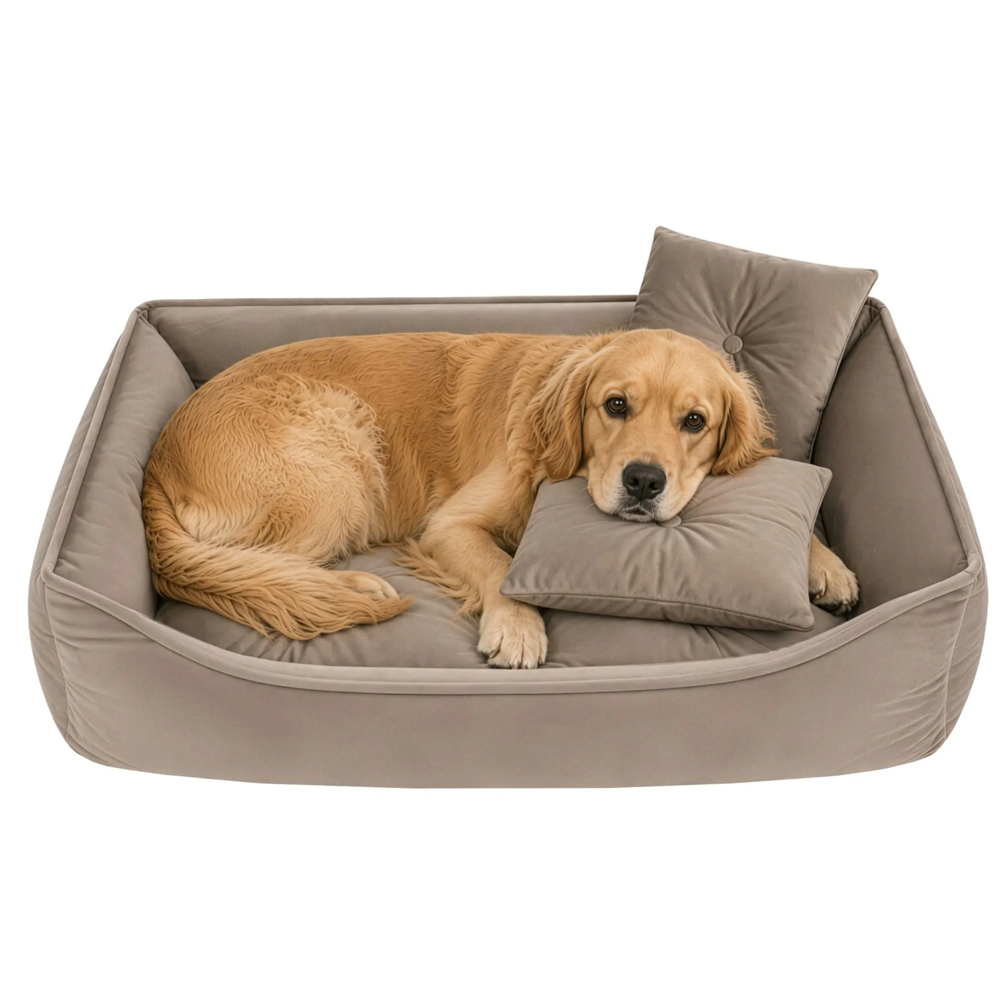 Hunde- og katteseng 70x50 cm – Beige med 2 puder