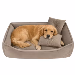 Hund- & Kattbädd 70x50 cm – Beige med 2 Kuddar