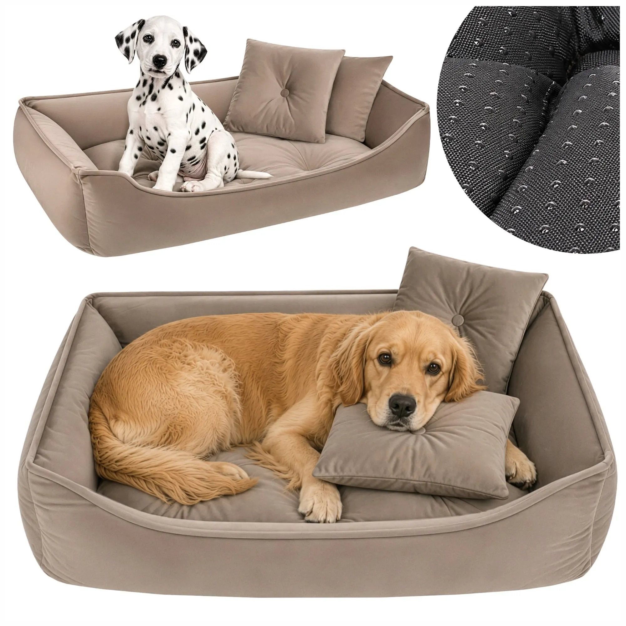 Hund- & Kattbädd 70x50 cm – Beige med 2 Kuddar