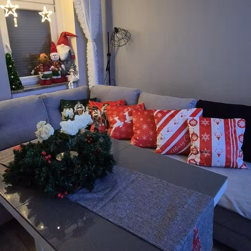 Juliga kuddfodral 4-pack – Plysch med julmotiv