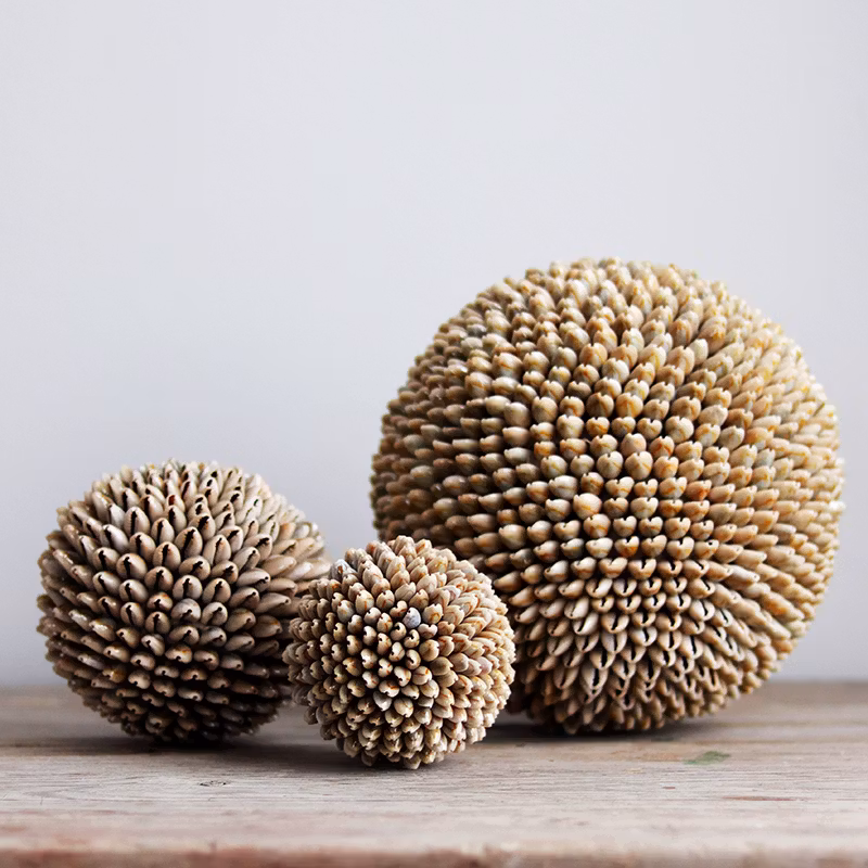 Snäckboll medium
