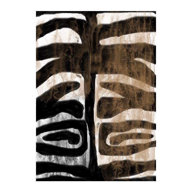 Print Zebra 50x70