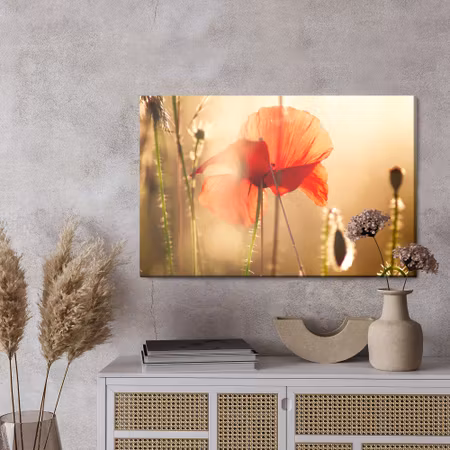 Canvastavla - Poppies in the sun