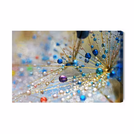 Canvastavla - Dandelion, colorful drops