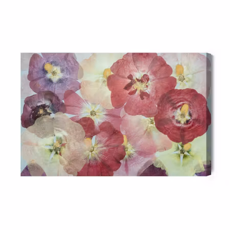 Canvastavla - Beautiful colorful flowers