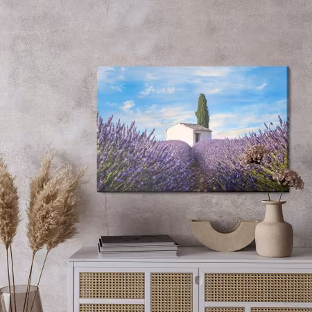 Canvastavla - Beautiful lavender flowers