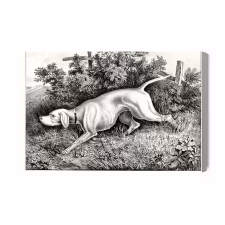 Canvastavla - Hunting dog