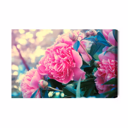 Canvastavla - Peony bush