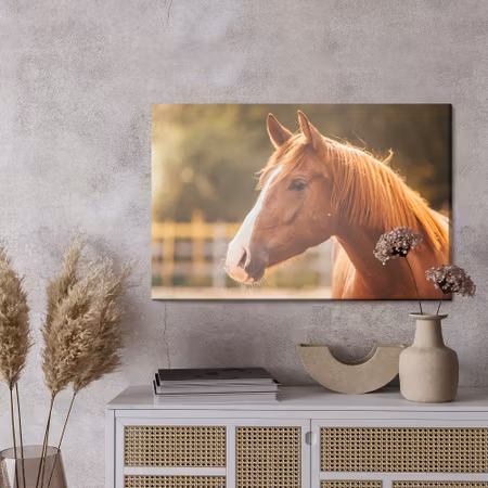 Canvastavla - A horse in the paddock