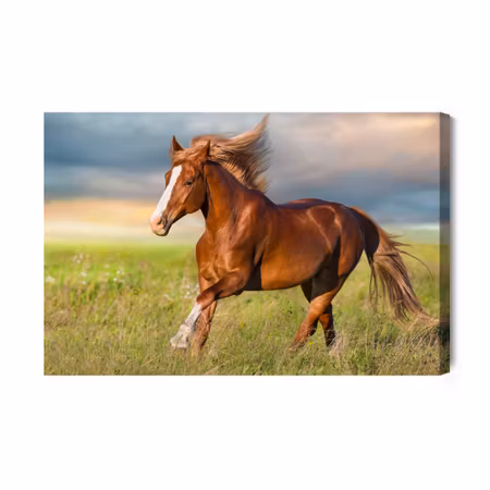 Canvastavla - Galloping horse in the clearing