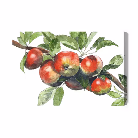 Canvastavla - Apples on the branch