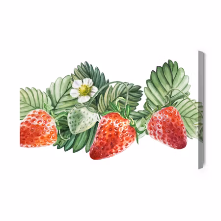 Canvastavla - Strawberries with flowers