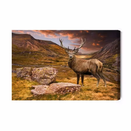 Canvastavla - Deer in the mountains