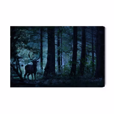 Canvastavla - A deer in a dark forest