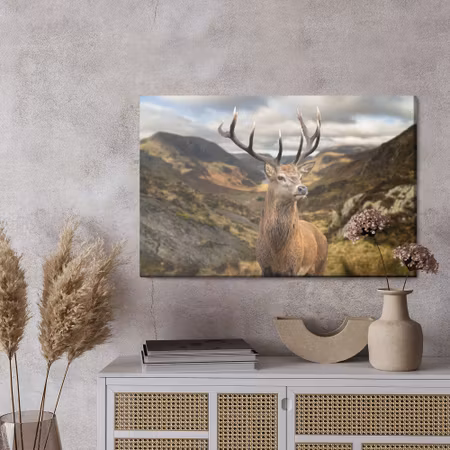 Canvastavla - Deer on the background of mountains