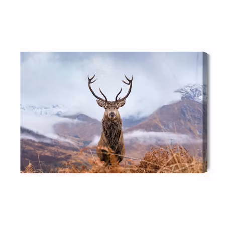 Canvastavla - Deer and winter mountains