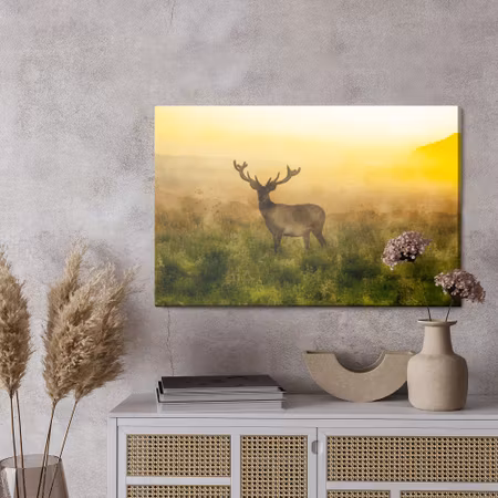 Canvastavla - A deer and a foggy morning