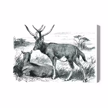 Canvastavla - Sketch with deers