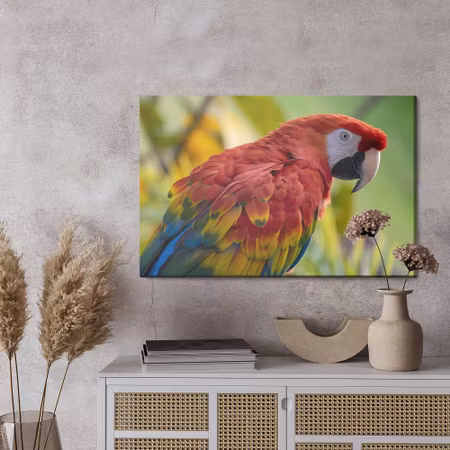 Canvastavla - Ara parrot