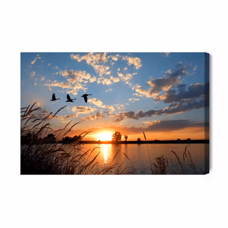 Canvastavla - Birds at sunset