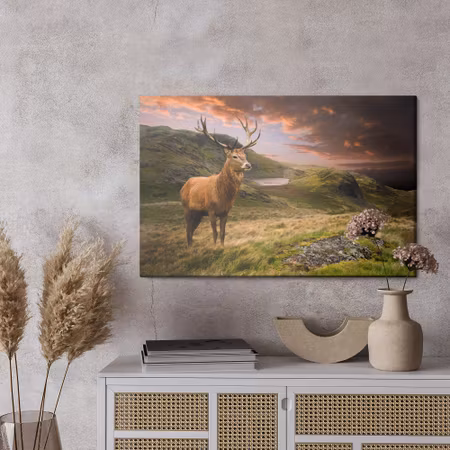 Canvastavla - A deer on a background of the cloudy sky