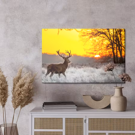 Canvastavla - A deer on the background of the rising