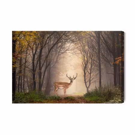 Canvastavla - A deer in the middle of the forest