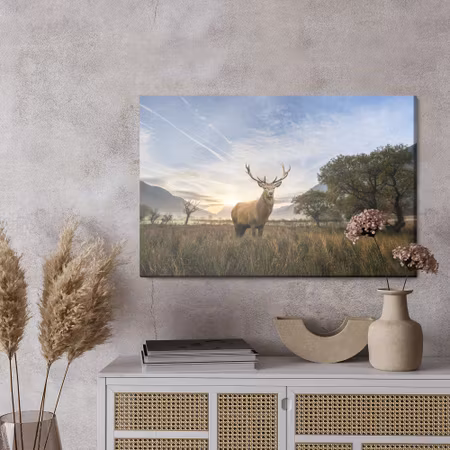 Canvastavla - Deer on the background of the landscape