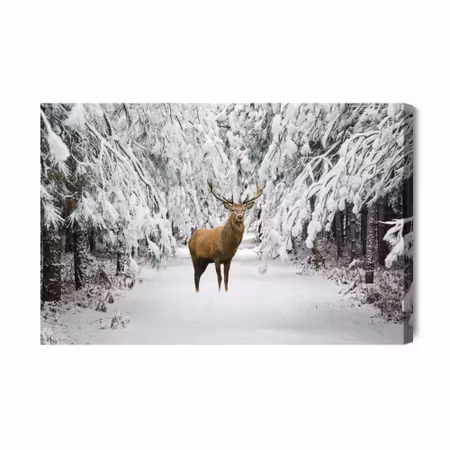 Canvastavla - Deer in the winter forest