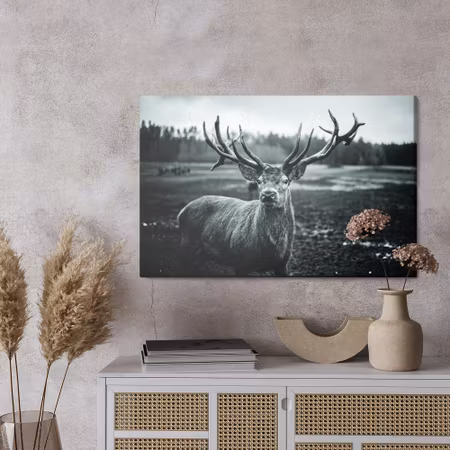 Canvastavla - Black and white deer
