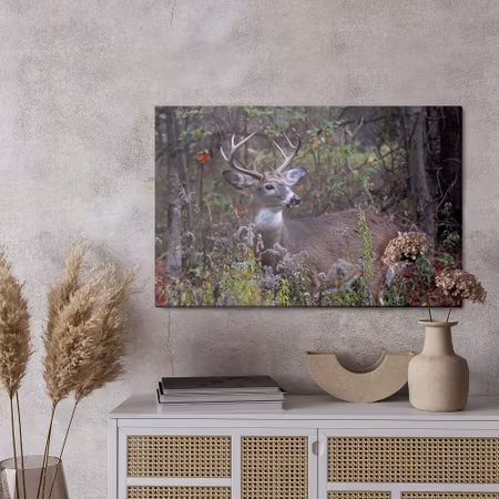 Canvastavla - A deer among the forest vegetation