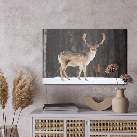 Canvastavla - Deer on the background of trees