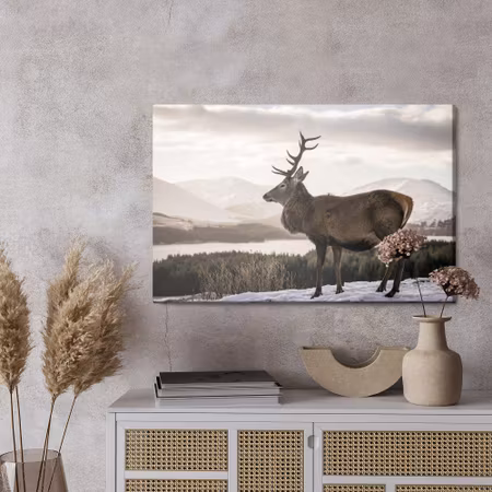 Canvastavla - A deer against the background of a