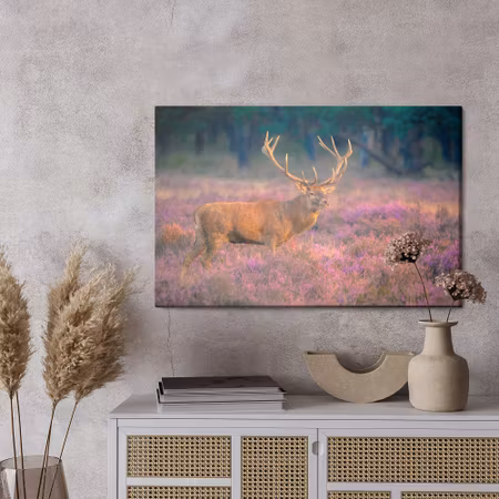 Canvastavla - A deer in the rut