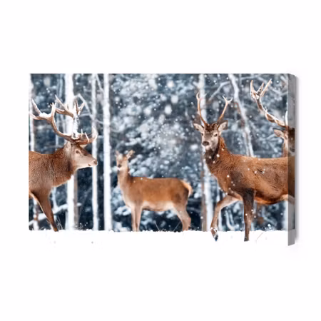Canvastavla - A herd of deer in the winter forest